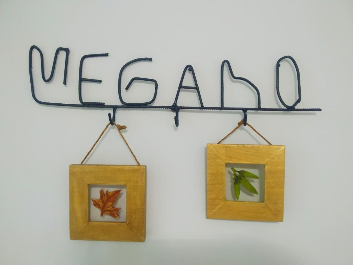 Megano, A Estrenar En La Ruta Vinos. Junto A Estanciones. Oviedo